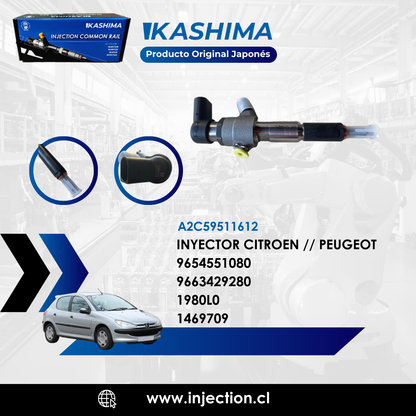 Inyector Citroën C2 / C3 – Peugeot 107 / 1007